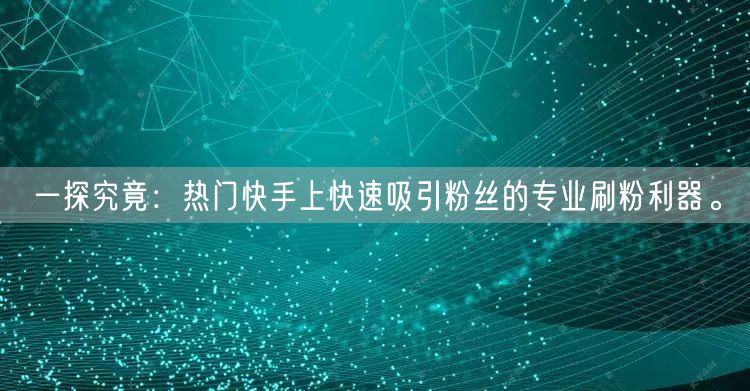 一探究竟：热门快手上快速吸引粉丝的专业刷粉利器。