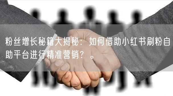 粉丝增长秘籍大揭秘:如何借助小红书刷粉自助平台进行精准营销?。