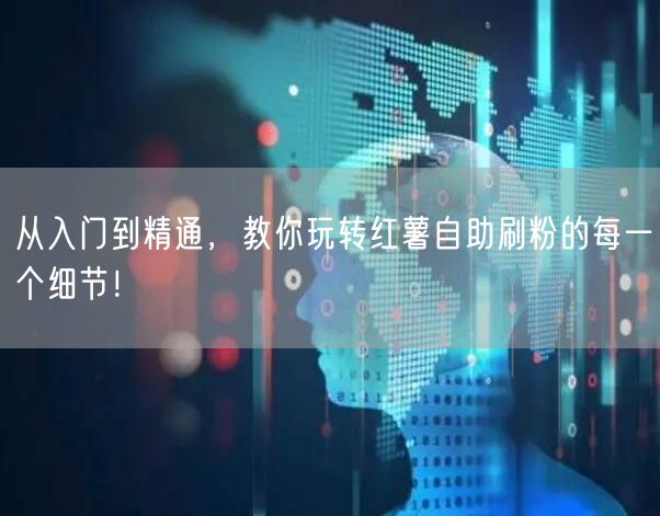 从入门到精通,教你玩转红薯自助刷粉的每一个细节!