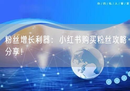 粉丝增长利器:小红书购买粉丝攻略分享!