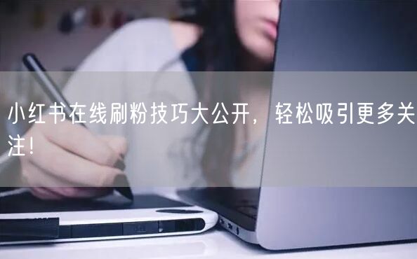小红书在线刷粉技巧大公开,轻松吸引更多关注!