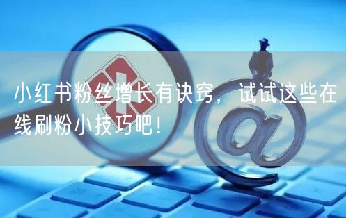小红书粉丝增长有诀窍,试试这些在线刷粉小技巧吧!