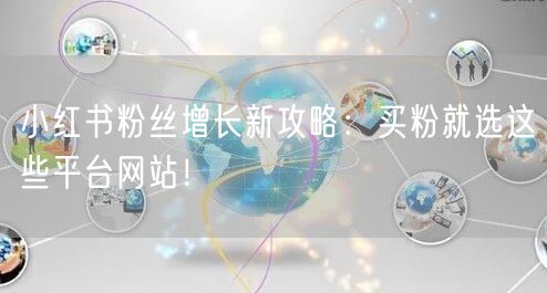 小红书粉丝增长新攻略:买粉就选这些平台网站!