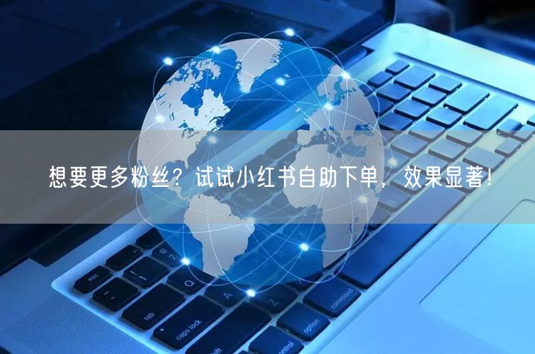 想要更多粉丝?试试小红书自助下单,效果显著!