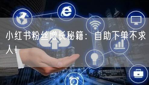 小红书粉丝增长秘籍:自助下单不求人!