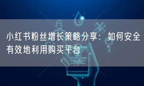 小红书粉丝增长策略分享:如何安全有效地利用购买平台